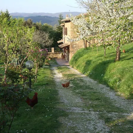 Podere La Vigna Locazione Turistica Orvieto Exterior photo