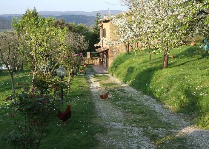 Podere La Vigna Locazione Turistica