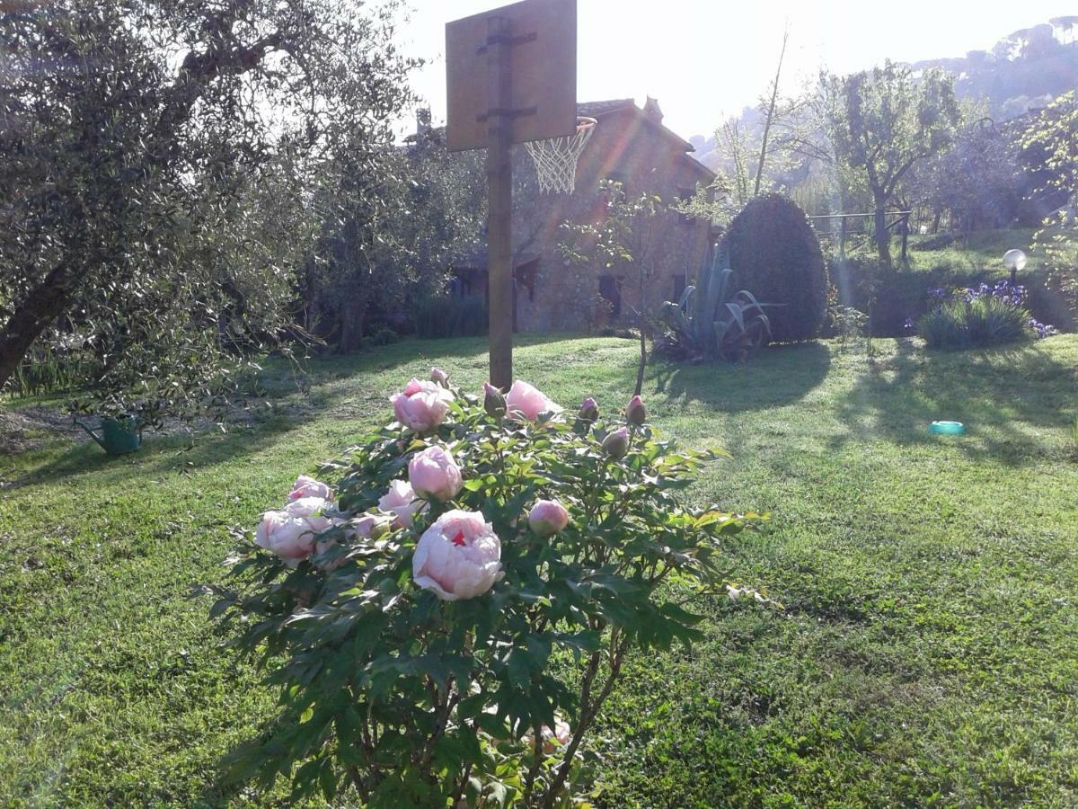 Podere La Vigna Locazione Turistica