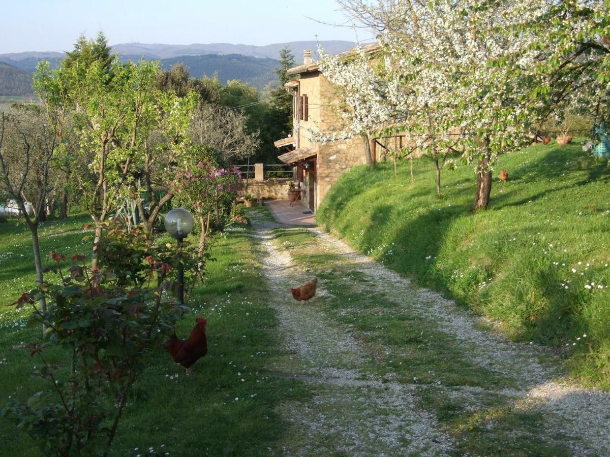 Country house Podere La Vigna Locazione Turistica *