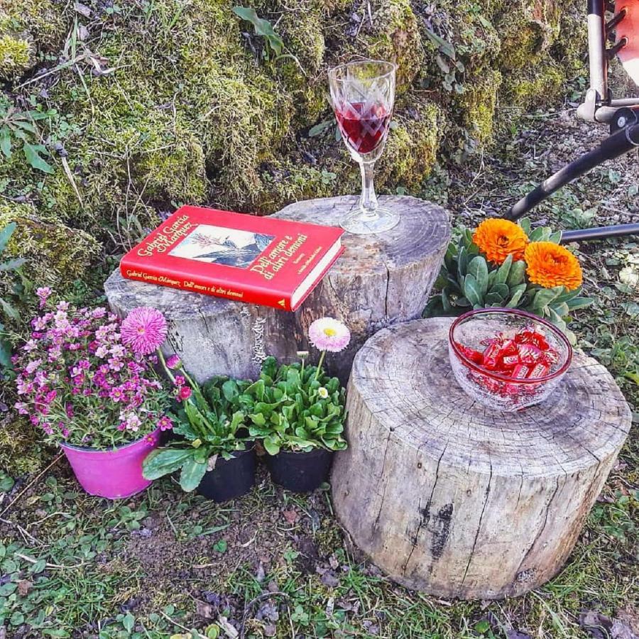 Country house Podere La Vigna Locazione Turistica